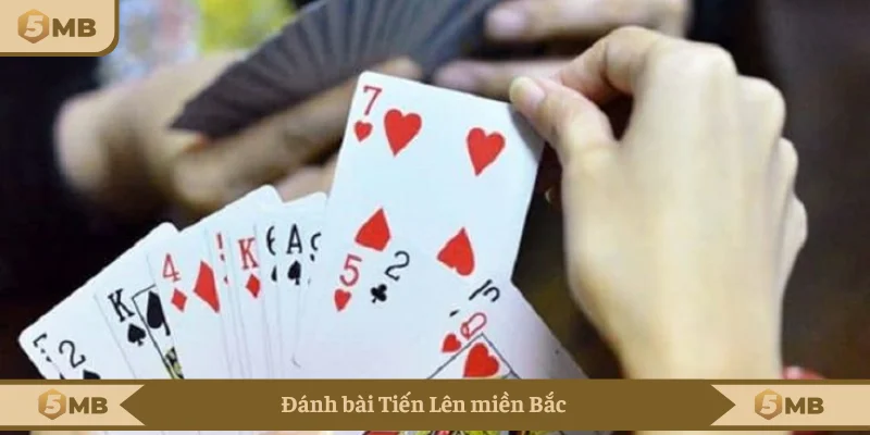 Game bài Tiến Lên miền Bắc đặc sắc