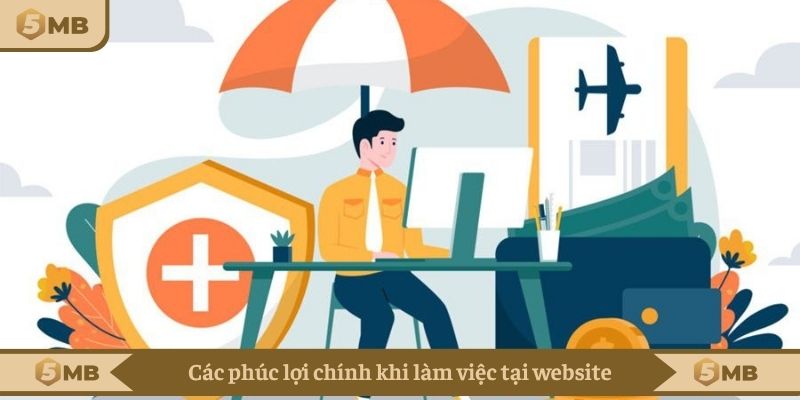 Các phúc lợi chính khi làm việc tại website