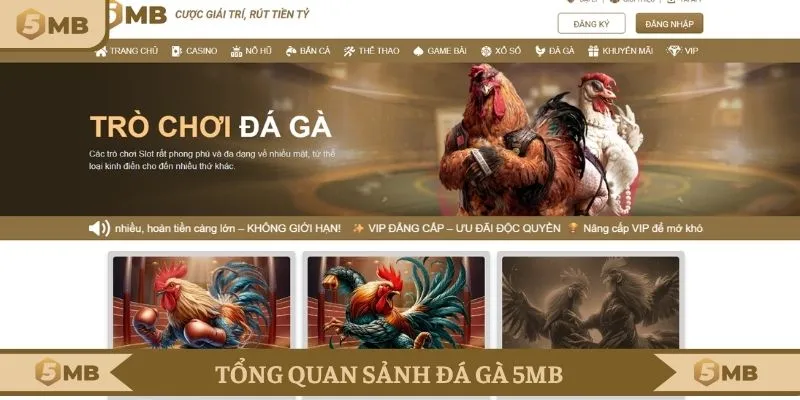 Khái quát đá gà 5MB