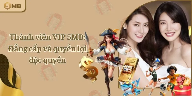 Thành viên VIP 5MB: Đẳng cấp và quyền lợi độc quyền